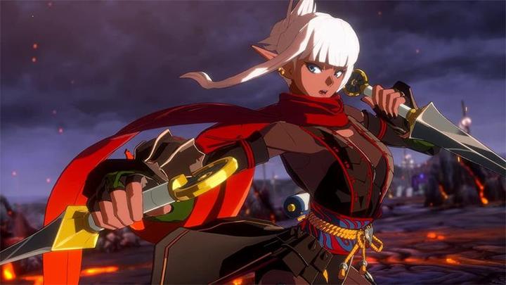 Image du produit Reef Entertainment DNF Duel (PS5, EN)