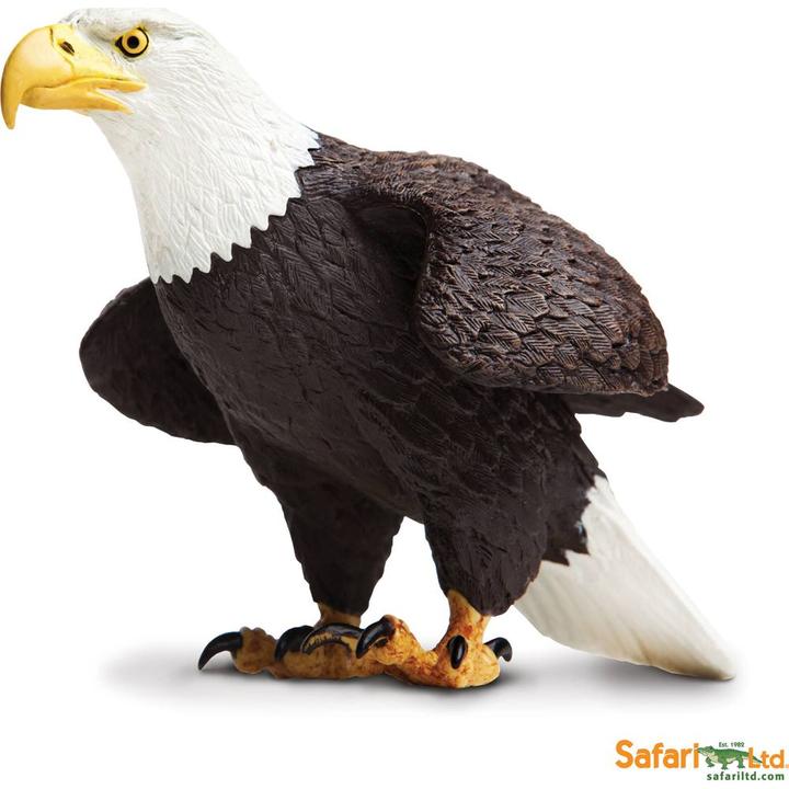 Actual product image Safari Bald Eagle