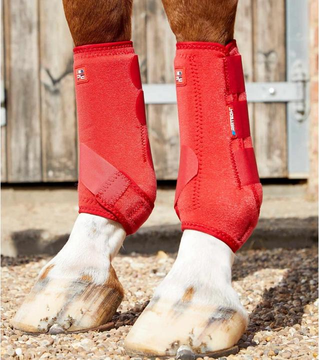 Rot