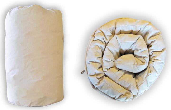 Produktbild Europe & Nature Futon In A Bag (90 x 200 cm, Naturkern)