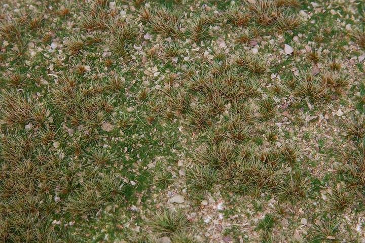 Image du produit Faller Segment de paysage Prairie d'herbes sauvages DIN A5