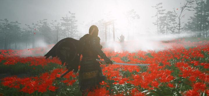Image du produit Sony Ghost of Tsushima - Directors Cut (PS5, DE)
