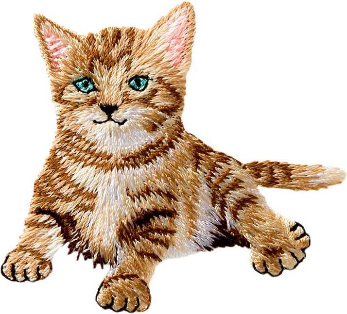 Produktbild Mono Quick Babykatze (1 x)