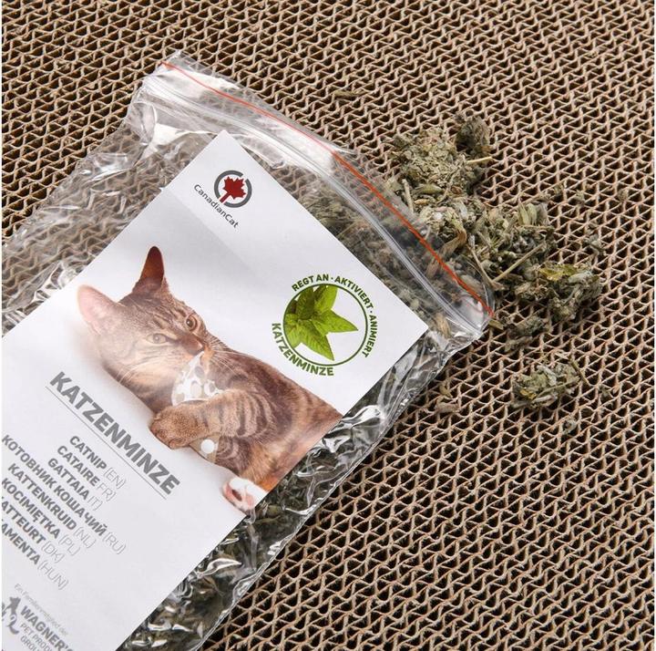 Produktbild CanadianCat Comet XL (8 cm, Grau)