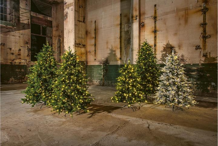 Actual product image STT Tree (150 cm)