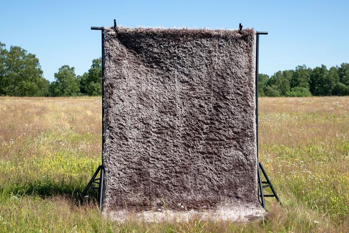 Immagine prodotto Venture Home Tappeto Grace (200 x 300 cm)
