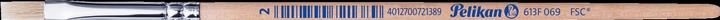 Productafbeelding Pelikan Borstelsoort 613F (2 mm)