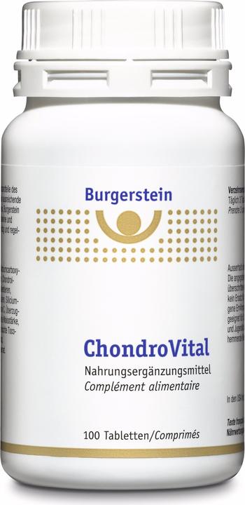 Burgerstein Chondrovital (100 Stück, Tabletten, 150 g)