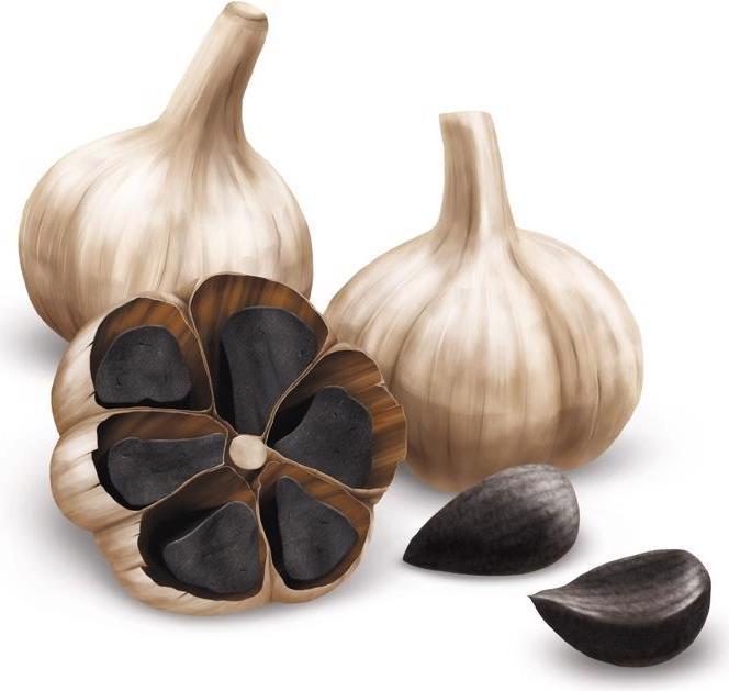 Image du produit Alpinamed Ail noir (120 pièce(s), Capsules, 103 g)