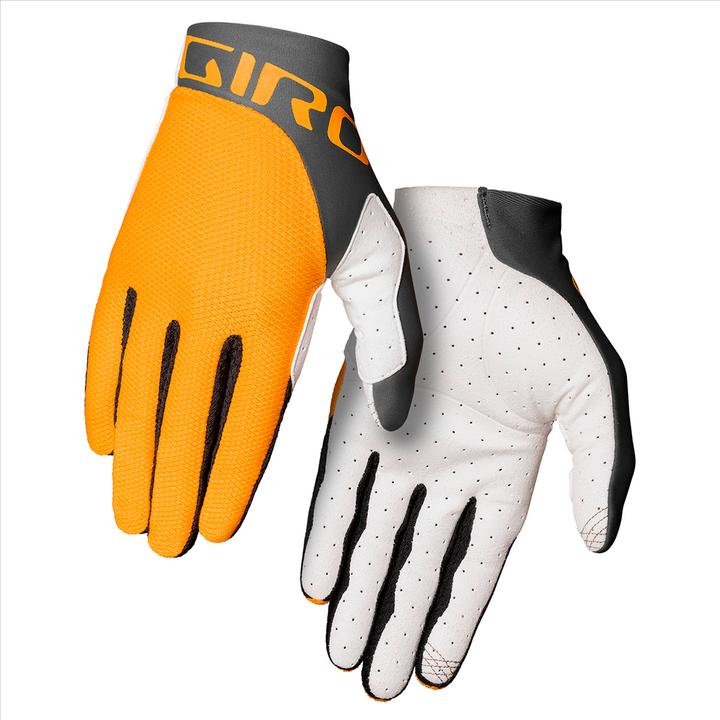 Portaro grigio, Giallo