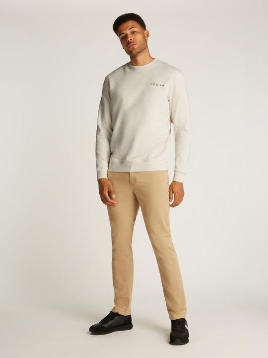 Actual product image Tommy Jeans Tjm Reg Linear Crew Ext (M)