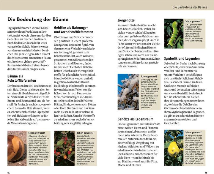Produktbild Kosmos Welcher Baum ist das? (Deutsch, Margot Spohn, Roland Spohn, 2024)