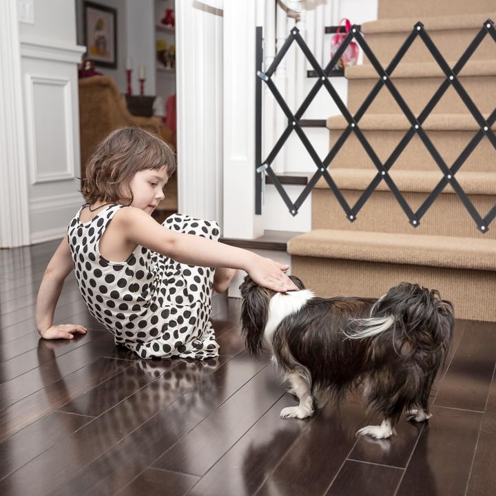 Image du produit Relaxdays Barrière pour chiens (17 cm)