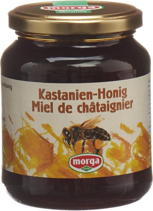 Actual product image Morga Chestnut honey abroad (500 g)