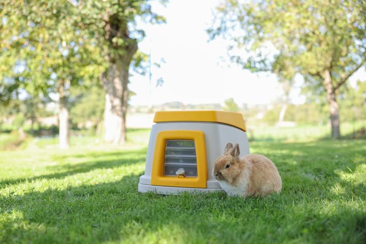 Actual product image Kerbl Bunny Base rabbit house without a continent