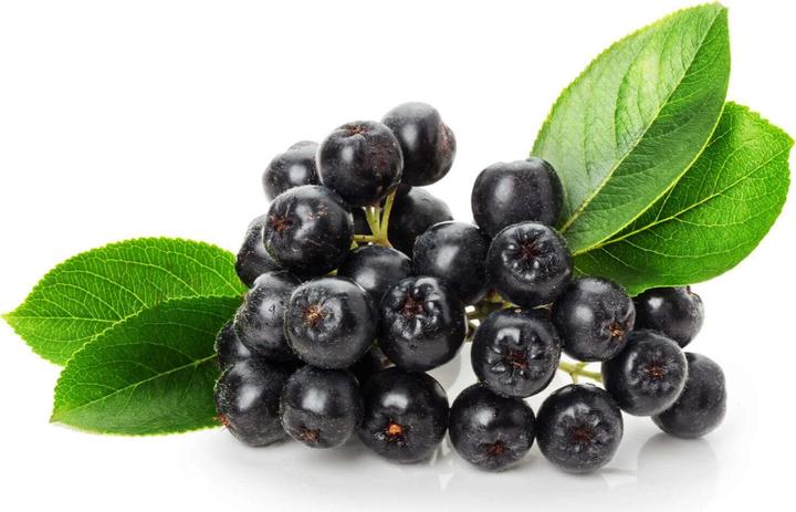 Actual product image Kingnature Chokeberry Vida (100 Piece, Capsules, 60 g)