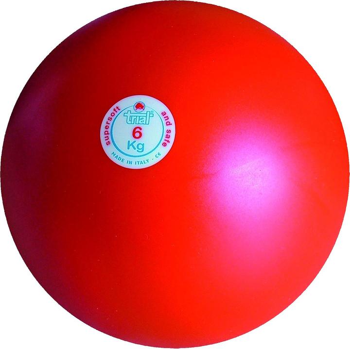 Trial Stosskugel (6000 g)