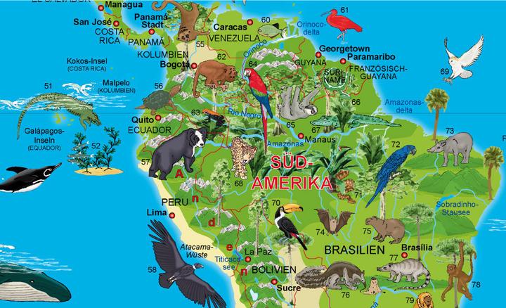Actual product image Illustrated world map animals, poster map
