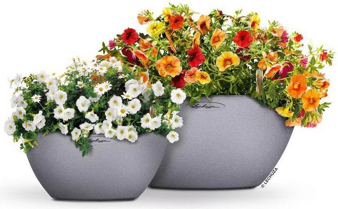 Image du produit Lechuza Cubeto Color (30 cm)