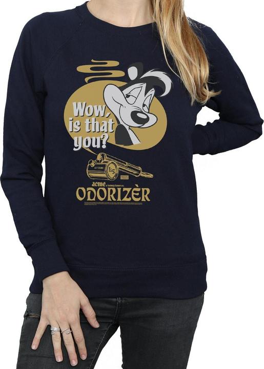 Produktbild Looney Tunes Odorizer Sweatshirt (M)