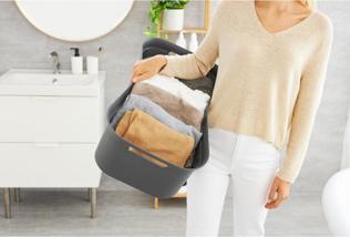 Image du produit Rotho Brises (41 l)