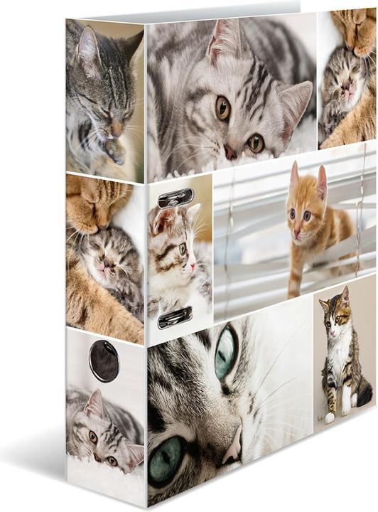Actual product image HERMA A4 folder motif (A4, 70 mm, 1 Piece)