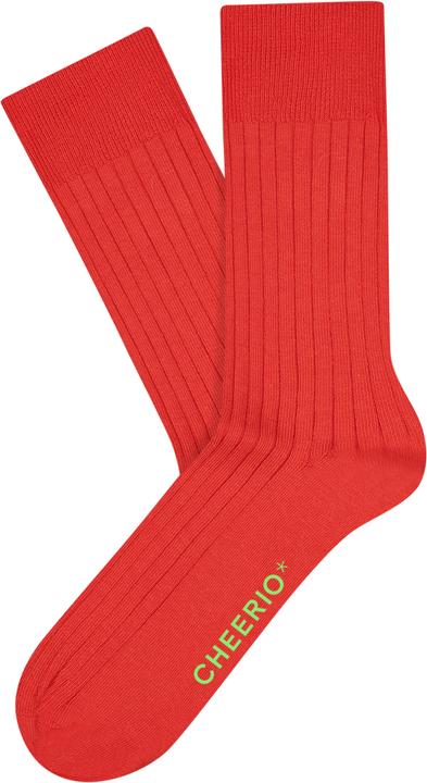 Image du produit Cheerio Chaussettes unisexes TOUGH GUY 2p (lot de 2, 36, 40)