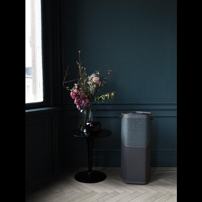 Image du produit Electrolux PA91-604DG (129 m²)