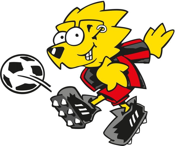 Immagine prodotto Bayer 04 Leverkusen Brian (120 x 144 cm, 40 x 48 cm, 100 x 120 cm, 80 x 96 cm, 60 x 72 cm, 20 x 24 cm)