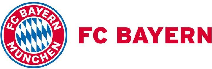 Produktbild FC Bayern München Logo mit Schriftzug (100 x 34 cm)
