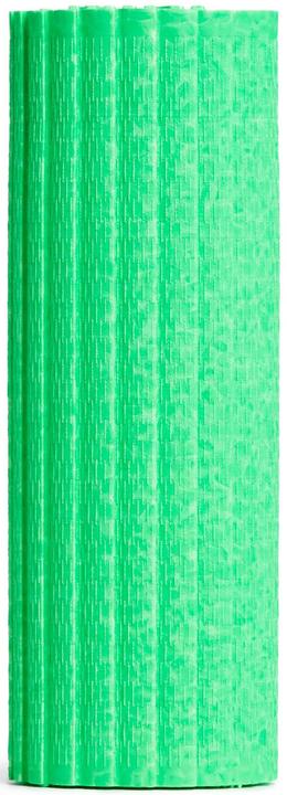Actual product image Blackroll Mini Flow