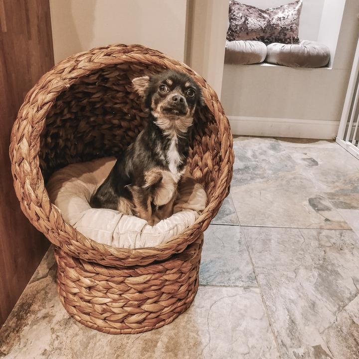 Immagine prodotto PawHut Casa per gatti in rattan intrecciato (Gatto)