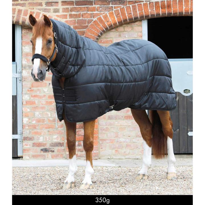 Produktbild Premier Equine unterdecke 350 g