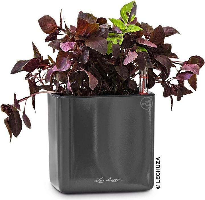 Immagine prodotto Lechuza Cube Glossy 14 (14 cm)