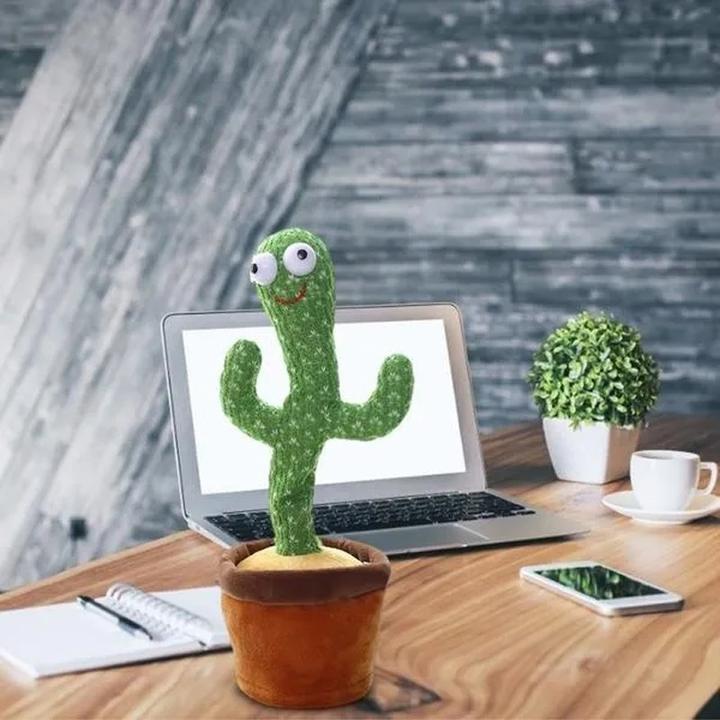 Image du produit Out of the blue Cactus dansant (32 cm)