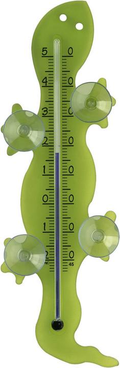 Actual product image TFA Gecko