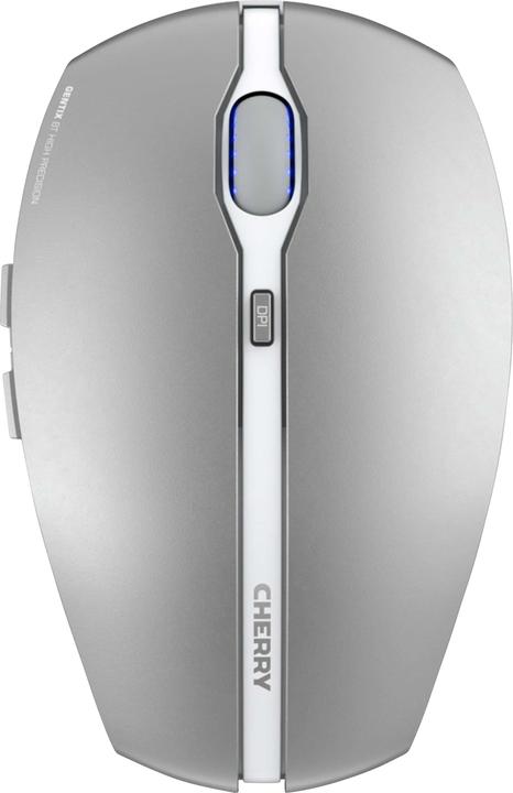 Frosted Silver