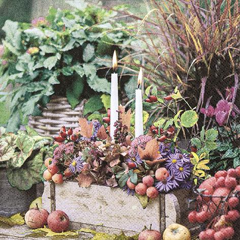 Home Fashion Autumn Candles (33 x 33 cm)
