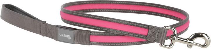 Kerbl Leuchtleine Light & Reflex (Hund, Hundesport)