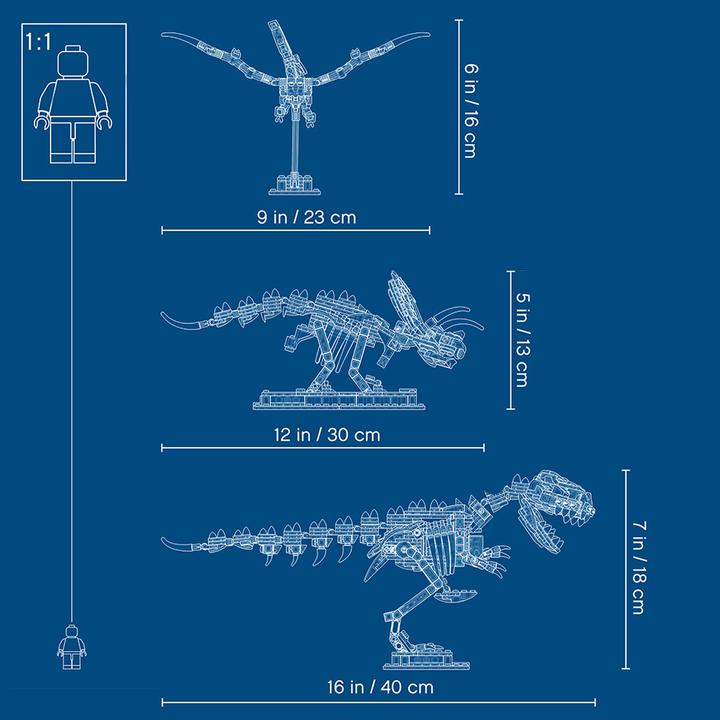 Immagine prodotto LEGO Fossili di dinosauro (21320, LEGO Ideas)