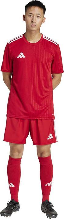 Immagine prodotto adidas Tastigo25 Breve (3XL)