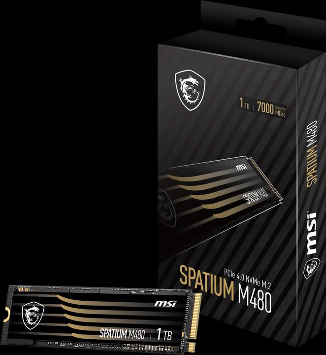 Immagine prodotto MSI Spatium M480 (1000 GB, M.2 2280)