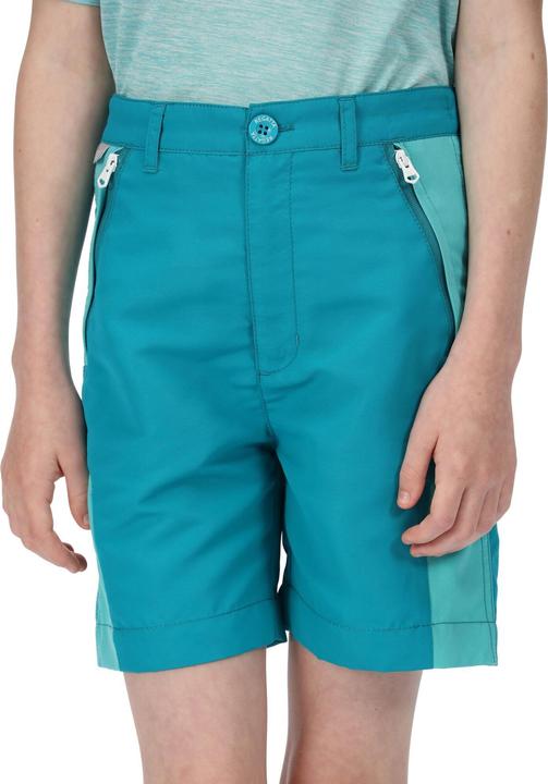 Actual product image Regatta Sorcer Ii Shorts (128)