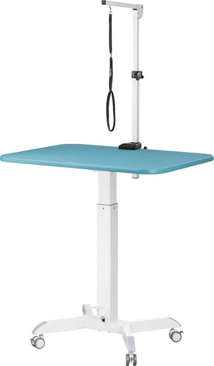 Produktbild Wiltec Fudajo Schertisch gross höhenverstellbar 800x600mm Trimmtisch Pflegetisch Hunde (Hund)