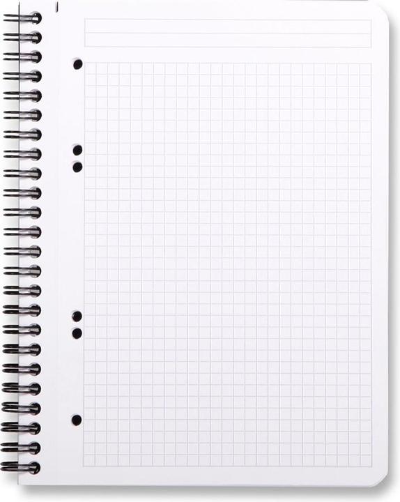 Valori nutrizionali e ingredienti Rhodia Rhodiactive (A1, Quadretti, Copertina morbida)