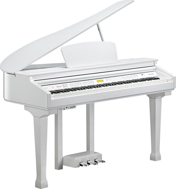 Immagine prodotto Kurzweil KGA100