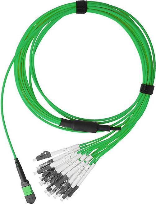 BlueOptics Fibre optique MTP/8xLC Duplex Breakout Cable OM5 10 mètres (10 m)