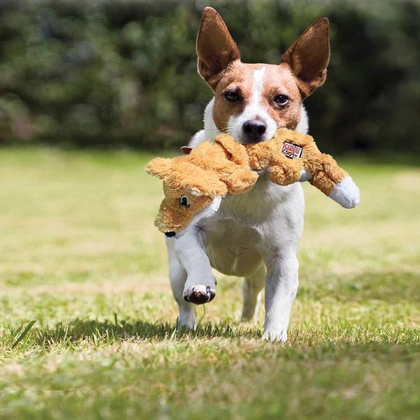 Produktbild KONG Raccoon M (Plüschspielzeug Hund)