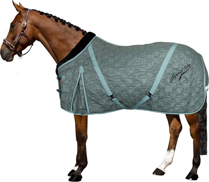Produktbild Imperial Riding Super-dry 250 g (175 cm)