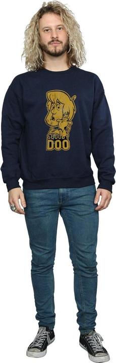 Actual product image Scooby Doo Mens And Shaggy Sweatshirt (S)